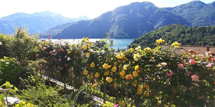 Magic Garden With Jacuzzi-Pool And Luxury Lake Como View Лено Экстерьер фото