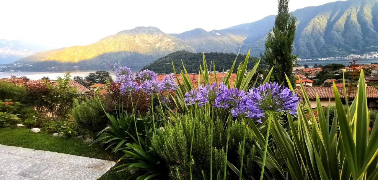 Magic Garden With Jacuzzi-Pool And Luxury Lake Como View Лено Экстерьер фото